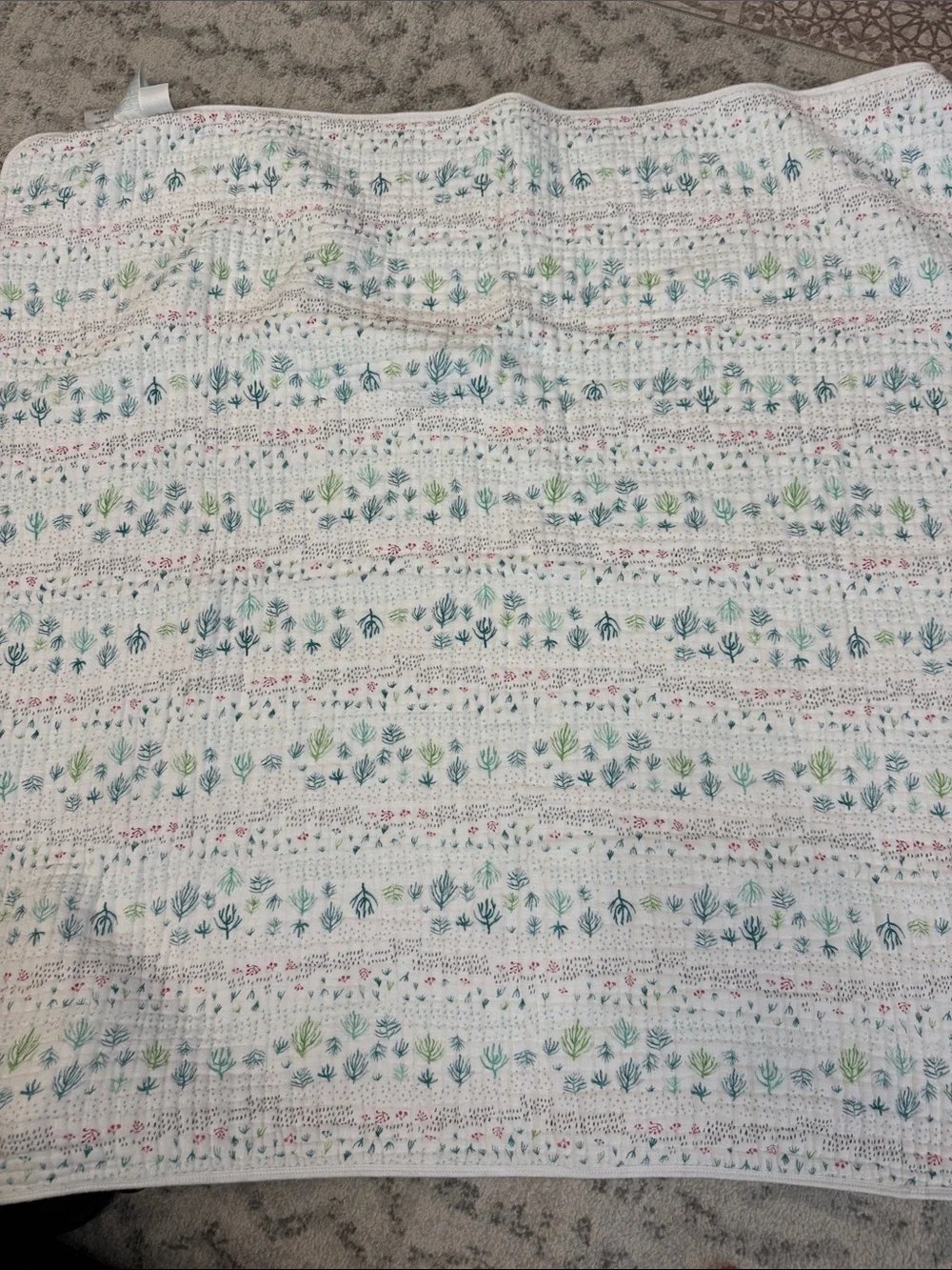 Aden + anais Blanket 42”x42”